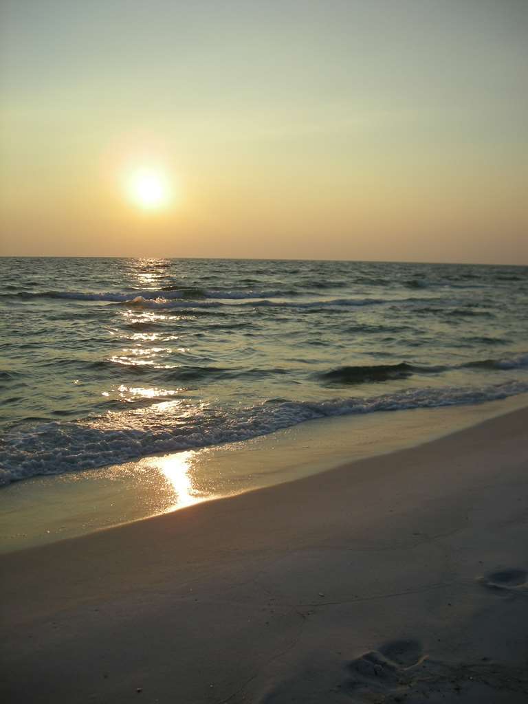 Hampton Inn By Hilton Panama City Beach Upper Grand Lagoon Natura zdjęcie